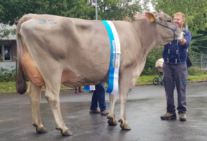 Champion Bluette Urs Buholzer